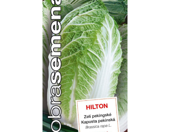 Dobrá semena Kapusta pekinská ´Hilton´