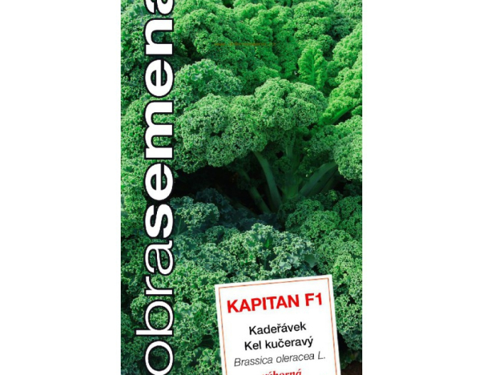 Dobrá semena Kel ružičkový ´Kapitan F1´