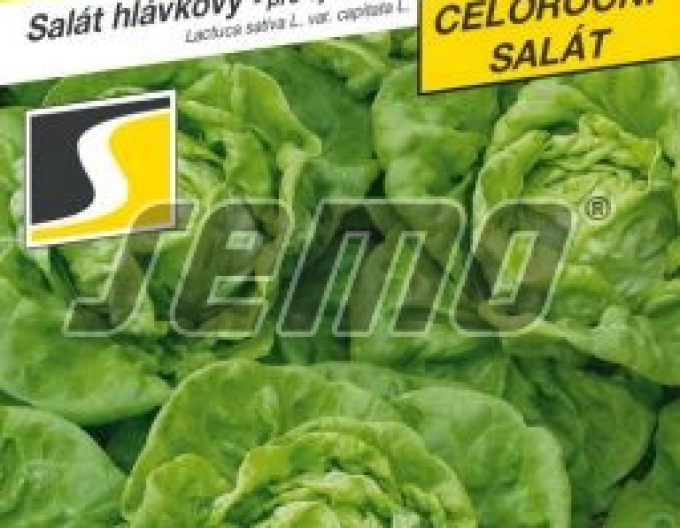 Semo Šalát na rýchlenie ´Bremex´