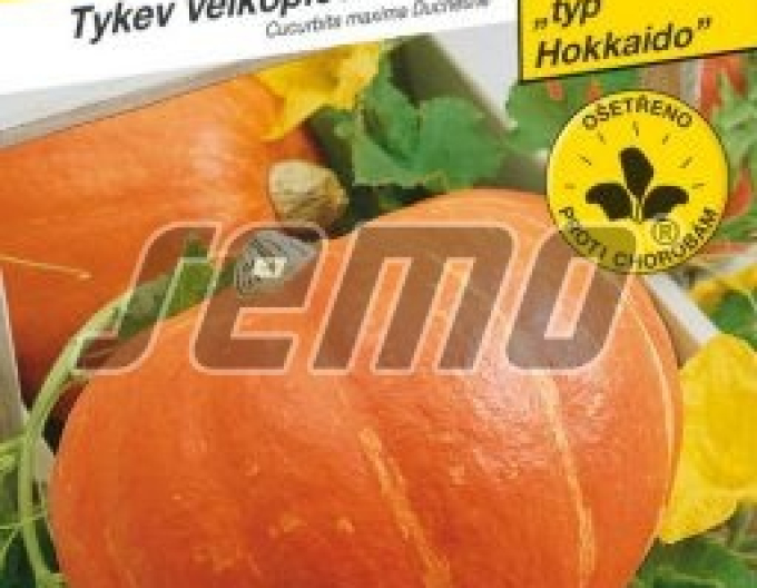 Semo Tekvica obrovská ´Amoro F1´