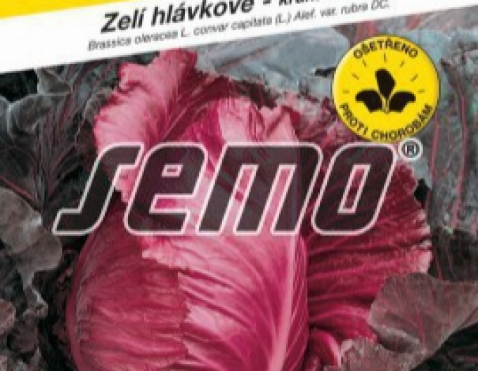 Semo Kapusta hlávková červená ´Kalibos´