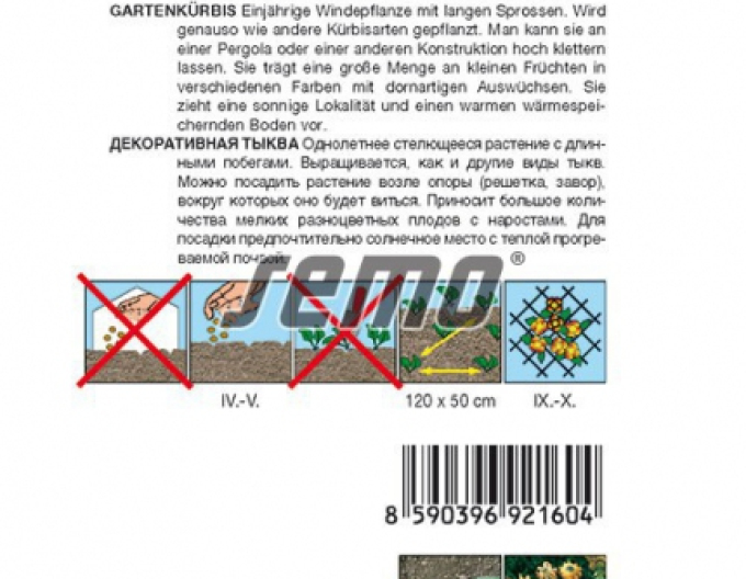 Semo Tekvica okrasná ´Trnova koruna´