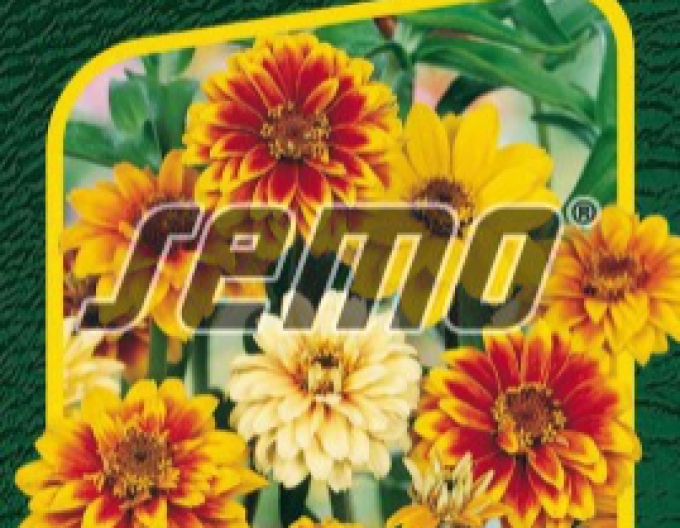 Semo Cínia ´Haageova Zmes´