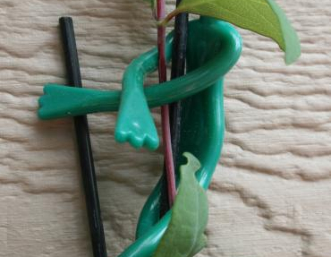 Žabky na uväzovanie rastlín