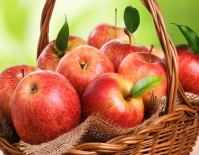 Jabloň Jonagold zimná, podpn.MM106, kont. 5l