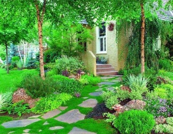 Machovička šidlovitá ´Supreme´