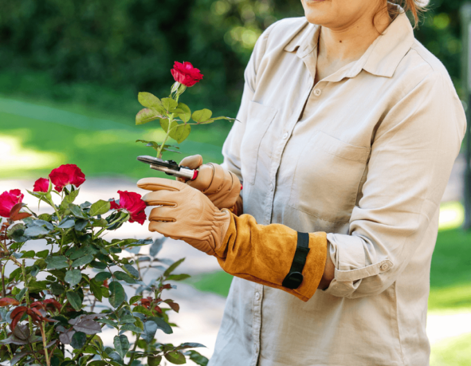 FELCO 705  Rukavice na ruže