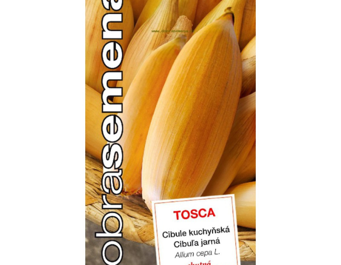 Dobrá semena Cibuľa kuchynská Tosca