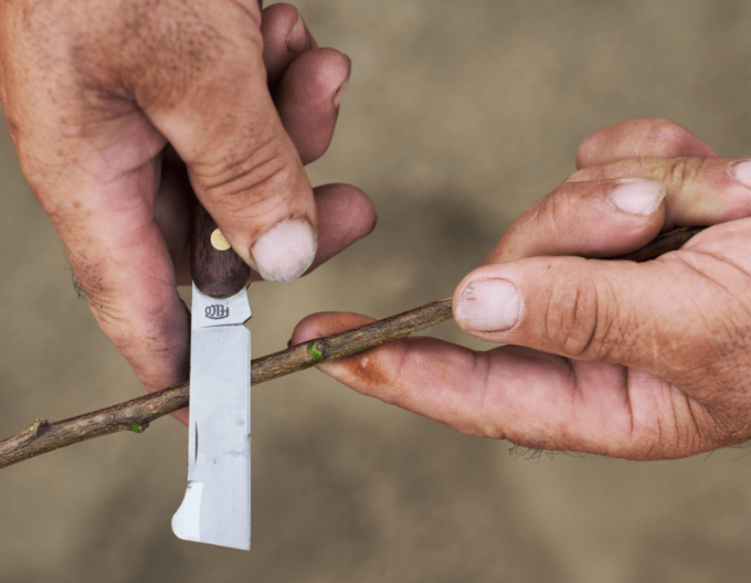 FELCO 512  Vrúbľovací nôž