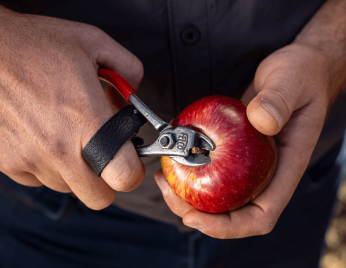 FELCO 330  Nožnice na ovocie