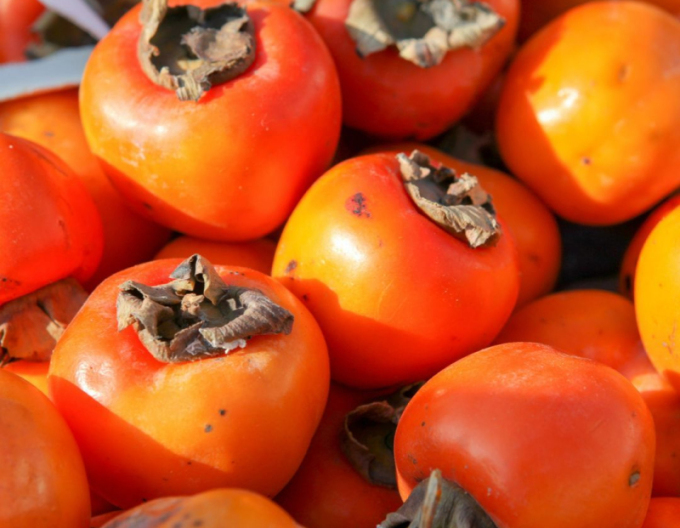 Hurmikaki ´Tipo´ na kmienku 18l