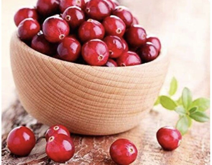 Brusnica veľkoplodá Kľukva ´Ben Learl´