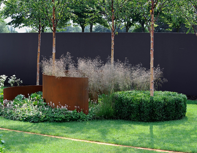 Metlica ’Goldschleier’ 9x9