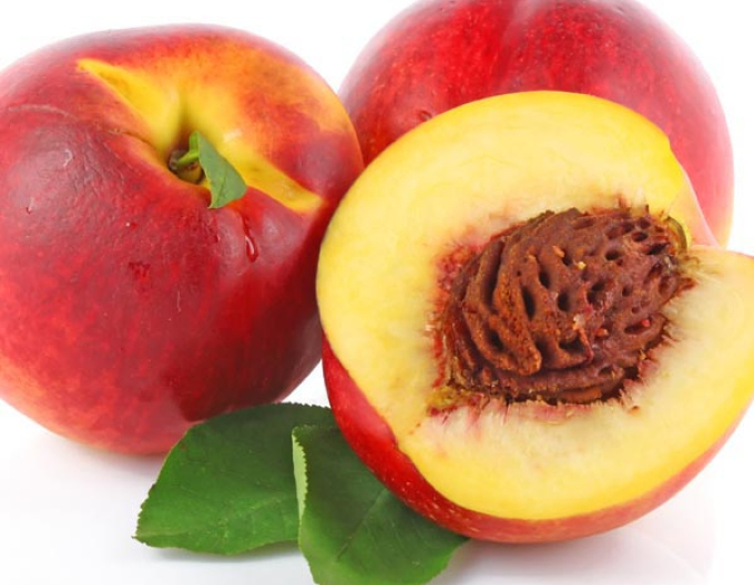 Nektarinka ´Fantasia´ neskorá, podp. GF677, voľnok.