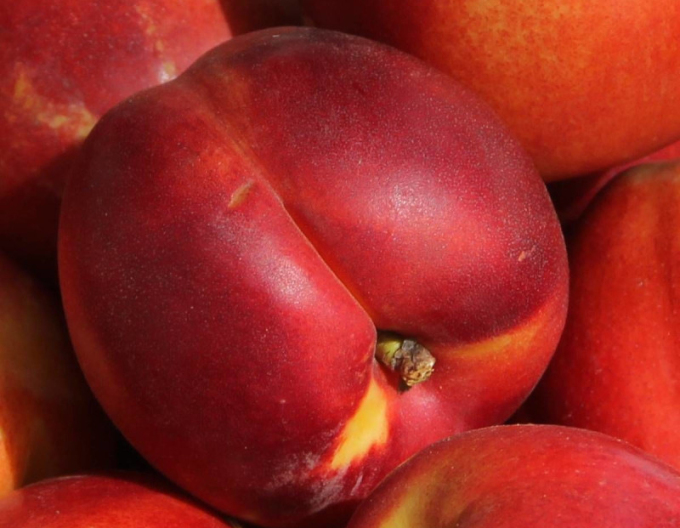 Nektarinka ´Fantasia´ neskorá, podp. GF677, voľnok.