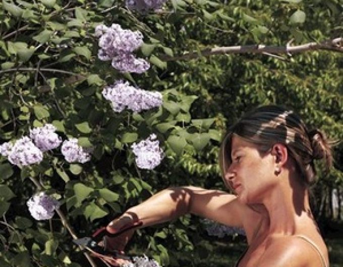 FELCO 160L  Záhradné nožnice