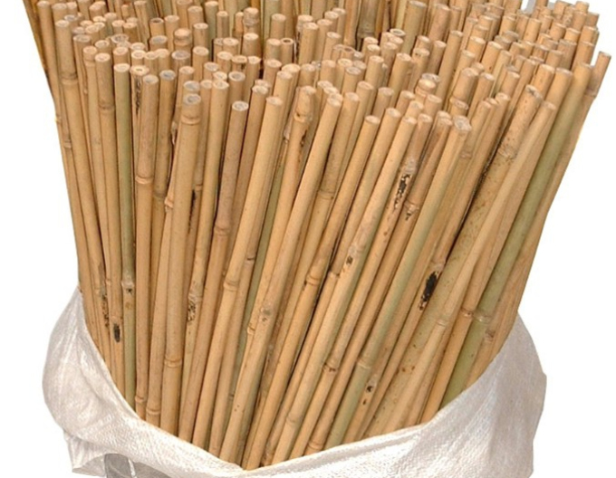 Bambusová tyč 60 cm